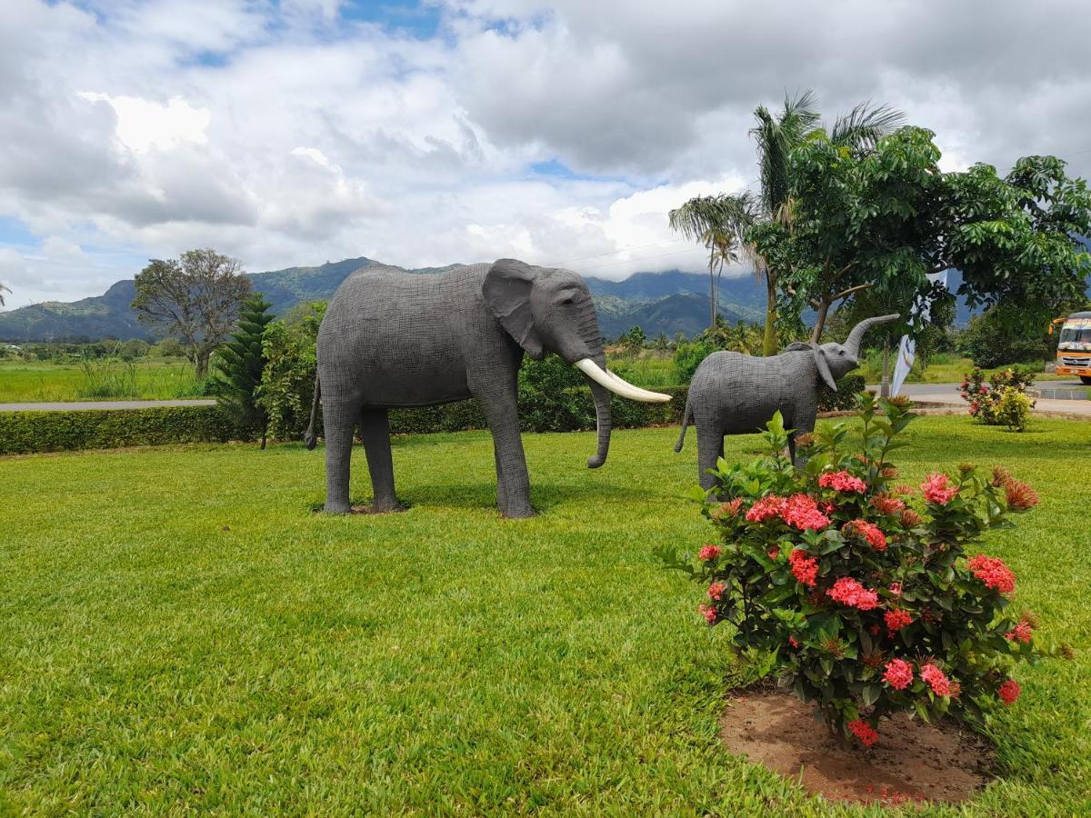 Cate Hotel Morogoro Экстерьер фото